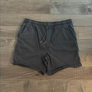 American Eagle Outfitters Men's Dark Shorts